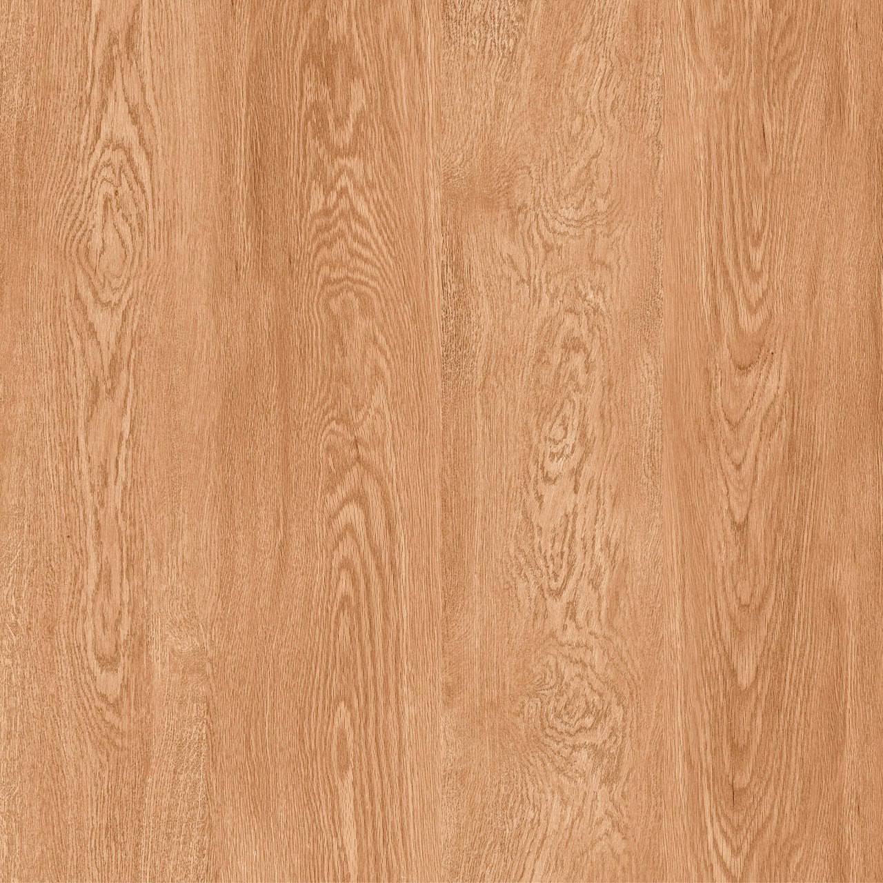 سوفیا پارکت